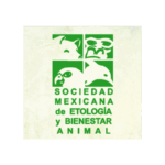 logo someba_thumbnail_1600x900